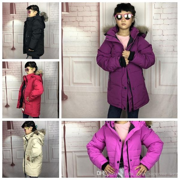 new winter nf womens fleece osito jackets fashion soft fleece warm slim coats outdoor ladies brand mens kids bomber jacket women down coat
new winter nf womens fleece osito jackets fashion soft fleece warm slim coats outdoor ladies brand mens kids bomber jacket women down coat