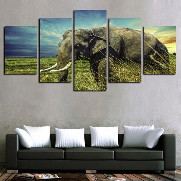 5 panels canvas prints wall art paintings animal elephant poster artworks print on canvas oil paintngs wall decor
5 panels canvas prints wall art paintings animal elephant poster artworks print on canvas oil paintngs wall decor
