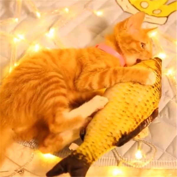 домашнее животное котенок кошка жевательная рыба мята бархат кошачья мята интерактивная царапина игрушка играть весело
домашнее животное котенок кошка жевательная рыба мята бархат кошачья мята интерактивная царапина игрушка играть весело