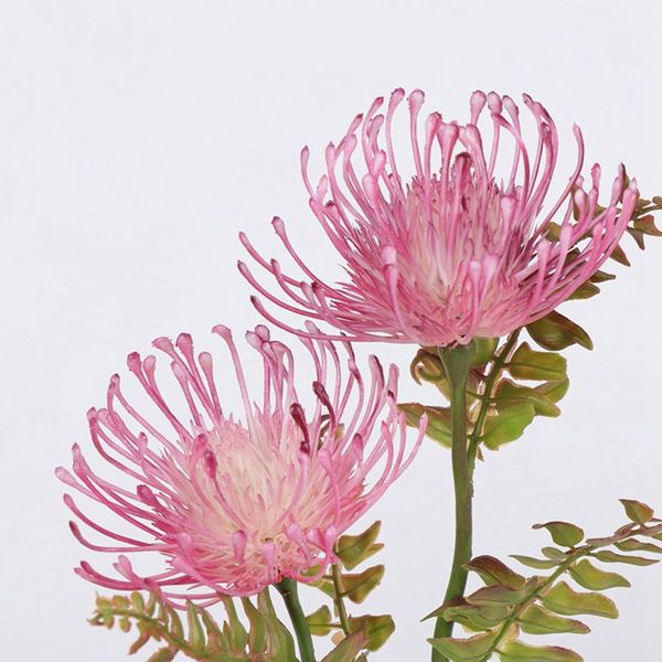 flocked leucospermum искусственные цветы для украшения венчания цветы artificiales пластиковые поддельные цветок растение украшения дома
flocked leucospermum искусственные цветы для украшения венчания цветы artificiales пластиковые поддельные цветок растение украшения дома