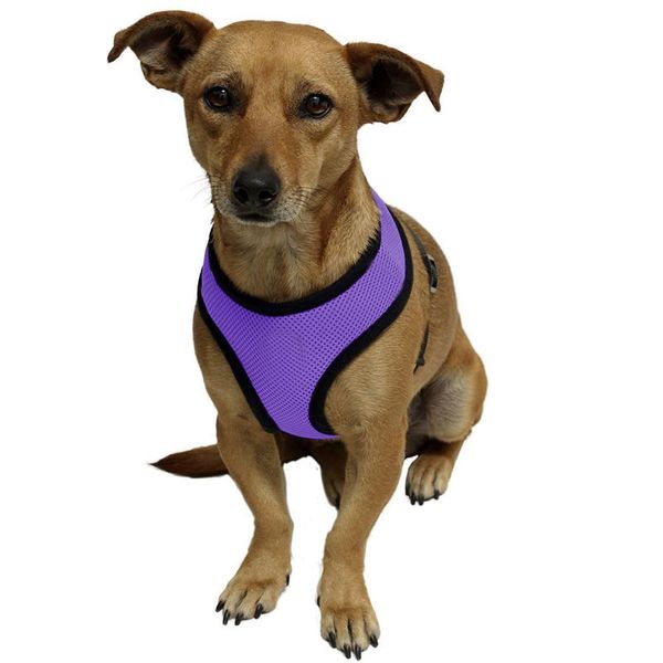 dog cat hauling cable harness chest strap vest cloth for small dogs halter harnesses pet clothing leads s m l
dog cat hauling cable harness chest strap vest cloth for small dogs halter harnesses pet clothing leads s m l