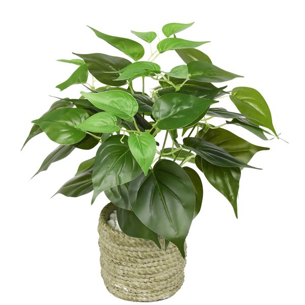artificial grass green plants bonsai decors plastic fake wall plants grass artificial home garden decoration
artificial grass green plants bonsai decors plastic fake wall plants grass artificial home garden decoration