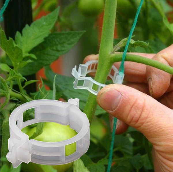 reusable 23mm plastic plant support clips clamps for plants hanging vine garden greenhouse vegetables tomatoes clips
reusable 23mm plastic plant support clips clamps for plants hanging vine garden greenhouse vegetables tomatoes clips