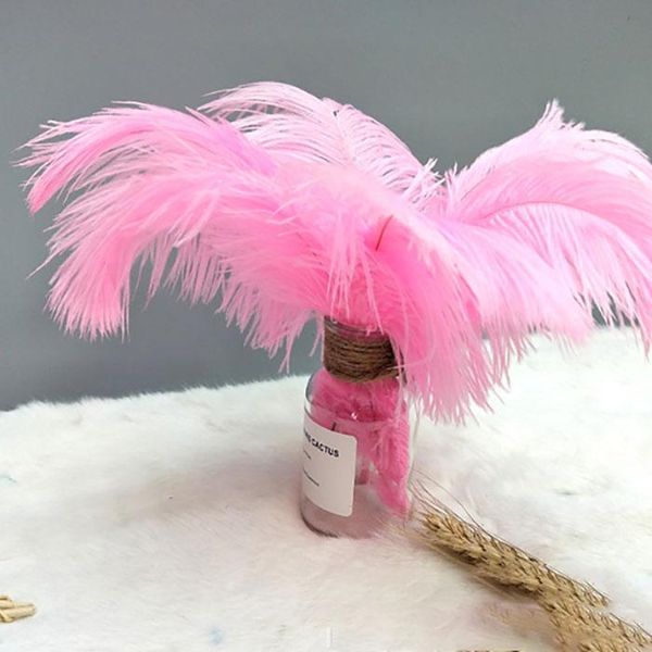 200pcs/pack 10-12 inch ostrich feather plume craft supplies wedding party table centerpieces/web celebrity wall decoration hat accessories
200pcs/pack 10-12 inch ostrich feather plume craft supplies wedding party table centerpieces/web celebrity wall decoration hat accessories