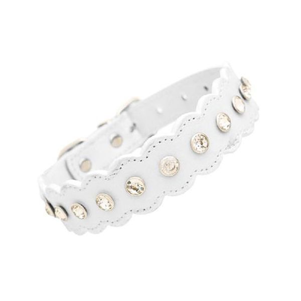bling rhinestone pu rivet leather crystal diamond puppy cat collar necklace pet dog collar pet decorations accessories
bling rhinestone pu rivet leather crystal diamond puppy cat collar necklace pet dog collar pet decorations accessories