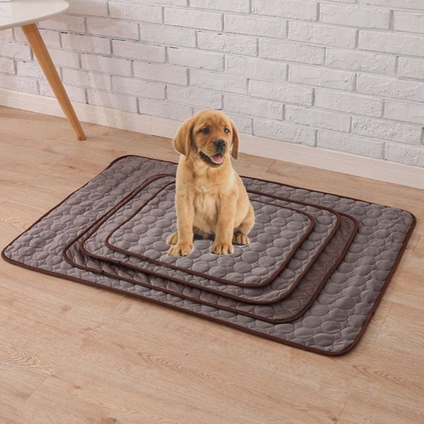 summer mat breathable pet durable cool pad pet mat cotton heat relief cushion cooler comfort cat dog toxic bed
summer mat breathable pet durable cool pad pet mat cotton heat relief cushion cooler comfort cat dog toxic bed