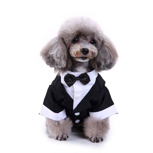 new cat puppy clothes dog wedding dress tuxedo suit coat with bowtie chihuahua poodle bichon schnauzer pug dog clothes pet apparel
new cat puppy clothes dog wedding dress tuxedo suit coat with bowtie chihuahua poodle bichon schnauzer pug dog clothes pet apparel
