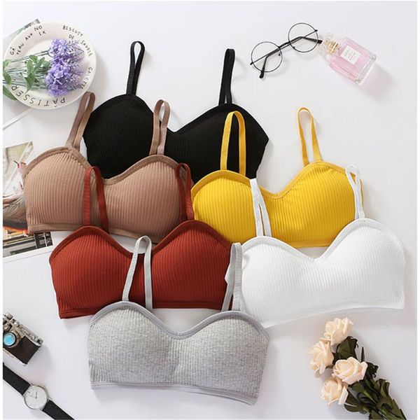 gym clothing cotton sports bras women jogging push up solid bra fitness running girl underwear yoga sport, White;black
gym clothing cotton sports bras women jogging push up solid bra fitness running girl underwear yoga sport, White;black