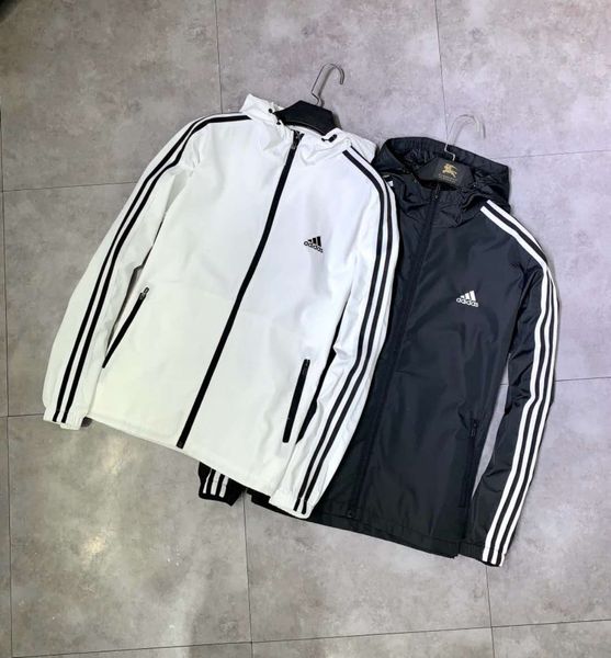 Jaquetas mqmm
Jaquetas mqmm