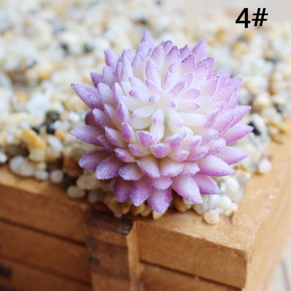 горшечные сочные садовые растения настольные рабочие столы sinocrassula flower office семена реалистичные мини vibrantly
горшечные сочные садовые растения настольные рабочие столы sinocrassula flower office семена реалистичные мини vibrantly