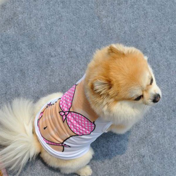 fashion pet dog autumn ventilate vest t-shirt chest muscle & bikini casual clothes dog clothes can csv
fashion pet dog autumn ventilate vest t-shirt chest muscle & bikini casual clothes dog clothes can csv