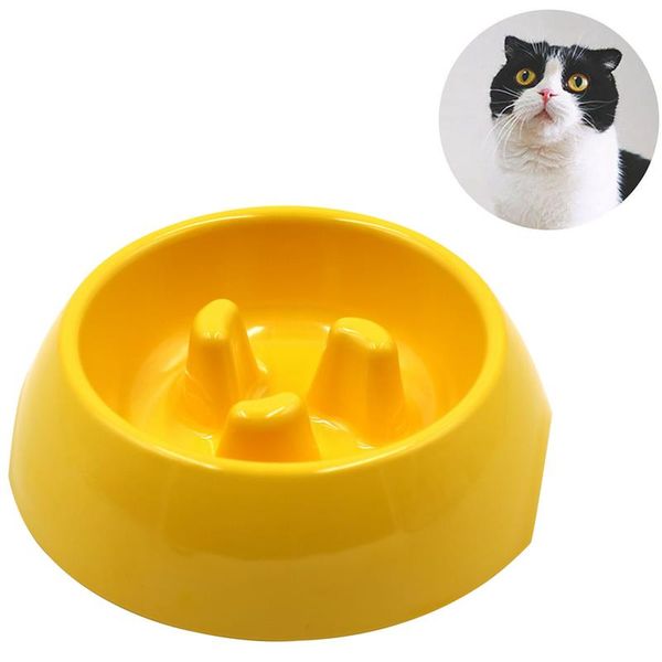print slow pet dog bowl puppy cat bowl water food storage feeder non-toxic pp resin stainless steel combo rice basin 6 colors
print slow pet dog bowl puppy cat bowl water food storage feeder non-toxic pp resin stainless steel combo rice basin 6 colors