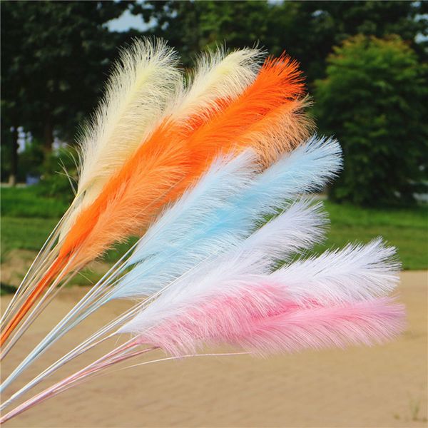 wedding set nordic simulation green plant decoration reed grass fashion home decoration artificial plant
wedding set nordic simulation green plant decoration reed grass fashion home decoration artificial plant