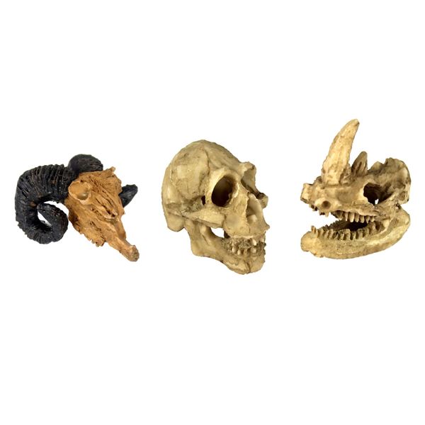 set of 3, reptile vivarium decoration human rhino & goat skull hide cave nest aquarium underwater ornament
set of 3, reptile vivarium decoration human rhino & goat skull hide cave nest aquarium underwater ornament