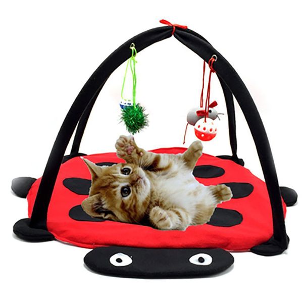 hanging bell bug cat tent pet bed toys mobile activity playing mat pad pet room blanket house cats furniture tent
hanging bell bug cat tent pet bed toys mobile activity playing mat pad pet room blanket house cats furniture tent