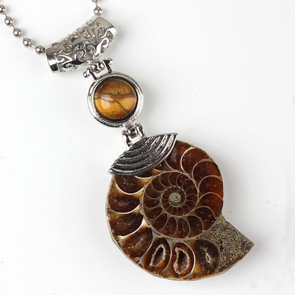 10 шт аммонит реликвий с большим количеством цветов quartz stone beads pendant для подарков silver plated ювелирных изделий
10 шт аммонит реликвий с большим количеством цветов quartz stone beads pendant для подарков silver plated ювелирных изделий