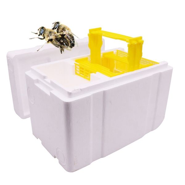 2 pcs/lot bee incubator bee mating breeding box length 241x width 148x height 166mm beekeeper apiary bee breeding
2 pcs/lot bee incubator bee mating breeding box length 241x width 148x height 166mm beekeeper apiary bee breeding