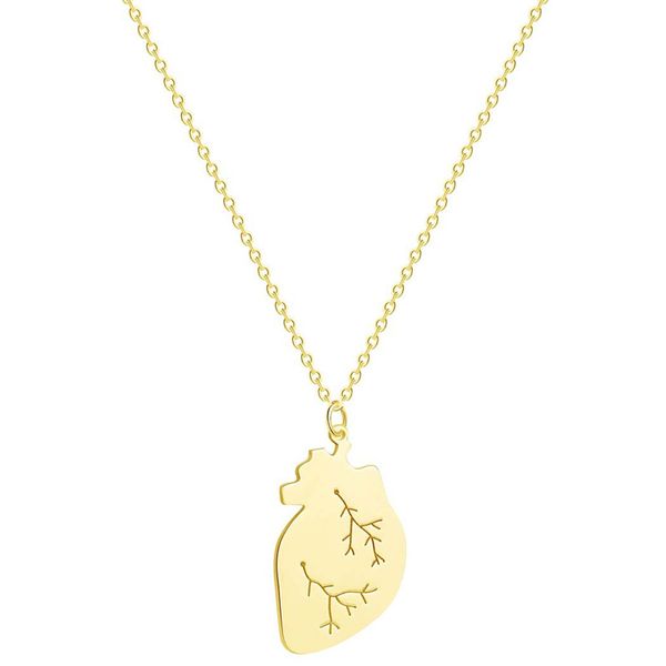 304 stainless steel anatomical heart gold necklace - cardiology pendant - biology necklace women, Silver
304 stainless steel anatomical heart gold necklace - cardiology pendant - biology necklace women, Silver