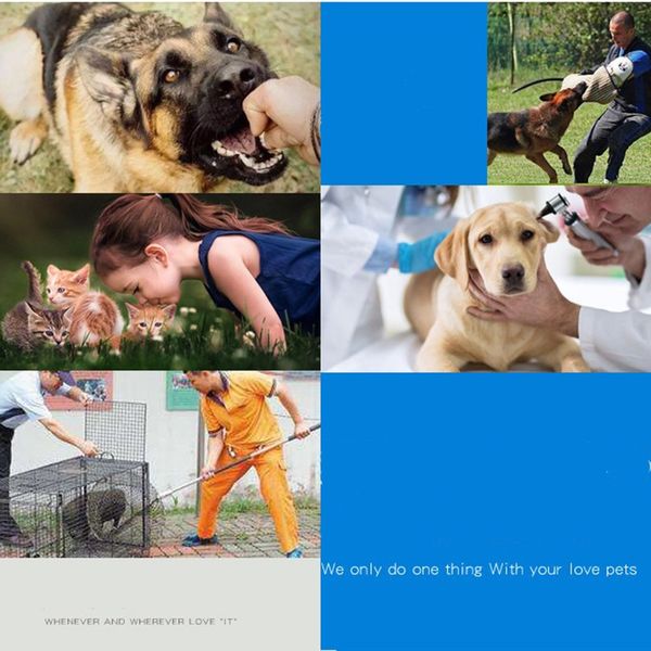 dog cats animal anti-bite protection gloves cat scratch snake bite pet gloves leather thickening training dog anti-biting gloves
dog cats animal anti-bite protection gloves cat scratch snake bite pet gloves leather thickening training dog anti-biting gloves