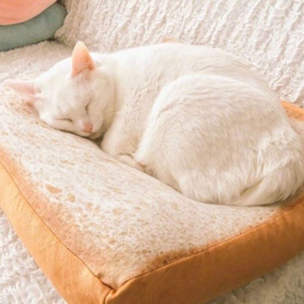 cartoon sleeping cotton simulation bread slices cat plush toy toast cushion soft pillow cat sleep mat pet supplies 40cm/60cm
cartoon sleeping cotton simulation bread slices cat plush toy toast cushion soft pillow cat sleep mat pet supplies 40cm/60cm
