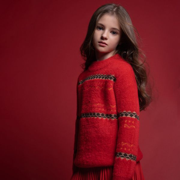 winter girl sweater soft warm thick clothes for big kids new year christmas red sweater school children clothes, Blue
winter girl sweater soft warm thick clothes for big kids new year christmas red sweater school children clothes, Blue