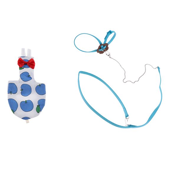 durable bird cockatiels nappy parrot bird harness leash great for bird parrot outdoors
durable bird cockatiels nappy parrot bird harness leash great for bird parrot outdoors