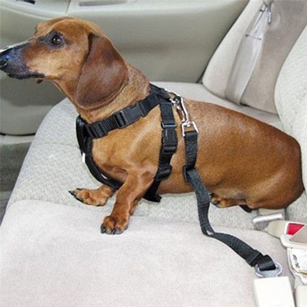 2019 new dog pets car safety seat belt harness restraint lead adjustable travel clip pet accessories
2019 new dog pets car safety seat belt harness restraint lead adjustable travel clip pet accessories