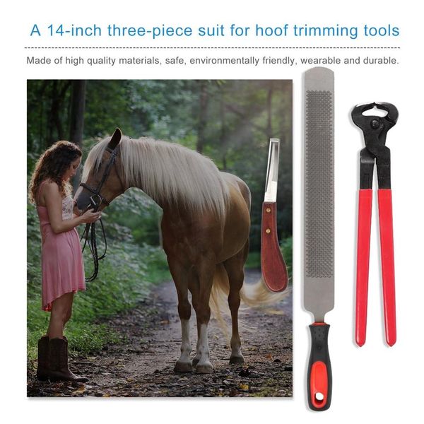 4pcs horse farrier hoof nipper trim shoeing file cattle horse hoofs tool clipper pliers horseshoe forceps hoofs knives kit
4pcs horse farrier hoof nipper trim shoeing file cattle horse hoofs tool clipper pliers horseshoe forceps hoofs knives kit