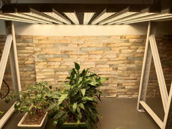 8bars 640w waterproof design plant growth lamp the preferred choice for indoor greenhouse planting medicinal plants can replace hps mh
8bars 640w waterproof design plant growth lamp the preferred choice for indoor greenhouse planting medicinal plants can replace hps mh