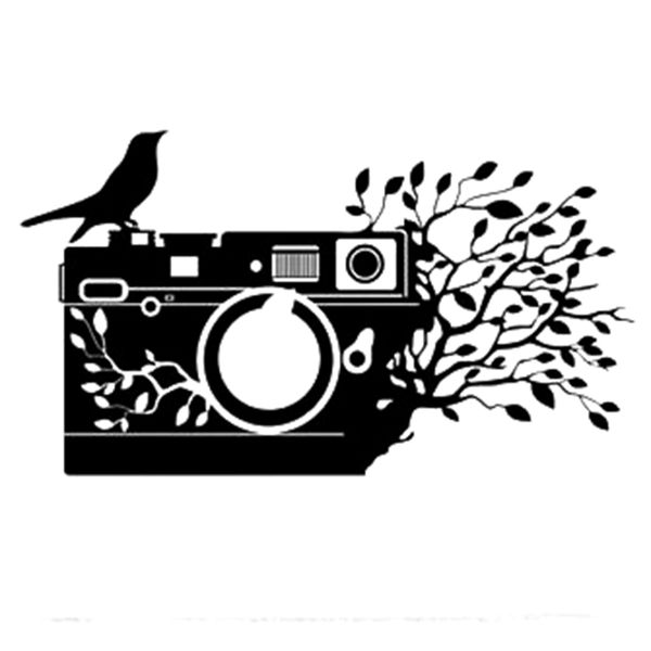 17*9.7cm camera pgraphy decal funny car window bumper novelty jdm drift vinyl decal sticker
17*9.7cm camera pgraphy decal funny car window bumper novelty jdm drift vinyl decal sticker