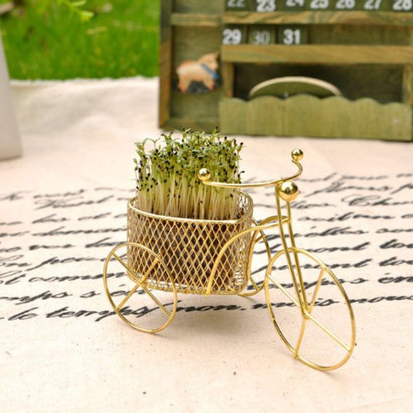 seed home plant bike shape rack garden decor grass seed planting bonsai diy diy bonsai home & garden
seed home plant bike shape rack garden decor grass seed planting bonsai diy diy bonsai home & garden