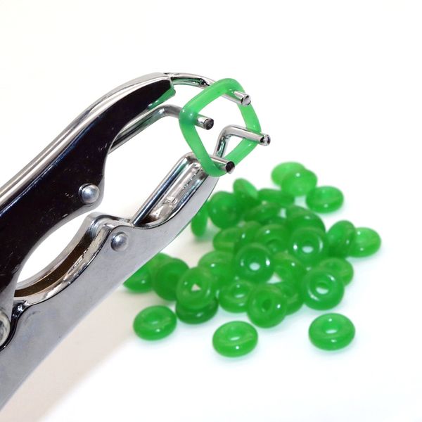 veterinary equipment pigs and sheep castration pliers rubber ring castration device veterinaria equipment ing
veterinary equipment pigs and sheep castration pliers rubber ring castration device veterinaria equipment ing