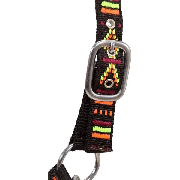 horse head collar 2 pcs in black cob size nylon garden sets
horse head collar 2 pcs in black cob size nylon garden sets