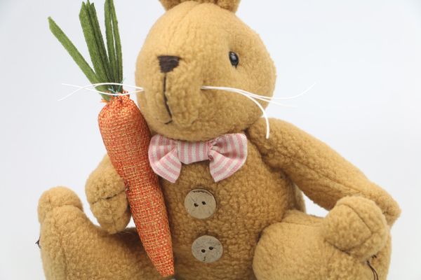 27cm cute easter bunny soft plush rabbit stuffed animal toy baby birthday gift rabbit toy for children easter gift
27cm cute easter bunny soft plush rabbit stuffed animal toy baby birthday gift rabbit toy for children easter gift