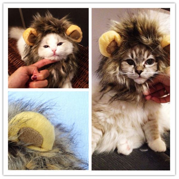 funny pet puppy dog cat lion mane wig cap hat autumn winter halloween christmas dogs cats animal cosplay fancy dress costume
funny pet puppy dog cat lion mane wig cap hat autumn winter halloween christmas dogs cats animal cosplay fancy dress costume