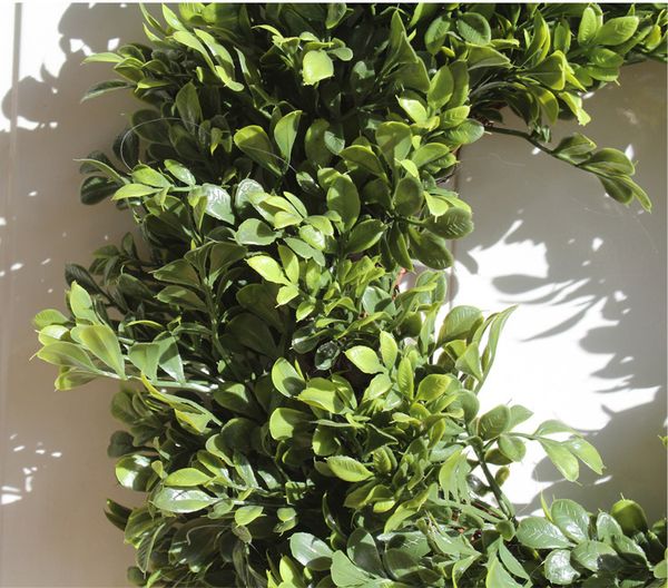 artifical plants garland greenery fake plants wreath boxwood gralands wreath wedding decoration farmhouse hawaii door decor pet supplies
artifical plants garland greenery fake plants wreath boxwood gralands wreath wedding decoration farmhouse hawaii door decor pet supplies