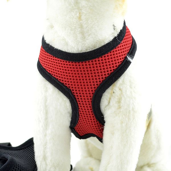 puppy dog adjustable comfort soft mesh solid breathable dog pet vest rope chest strap leash collar
puppy dog adjustable comfort soft mesh solid breathable dog pet vest rope chest strap leash collar