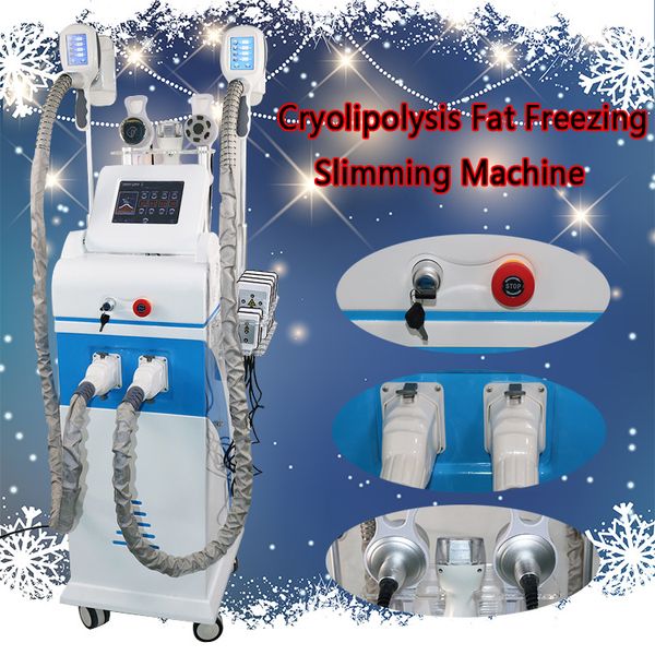 cryolipolysis slimming machine new design cryotherapy fat ing weight loss ultrasound rf lipo laser machine fat e
cryolipolysis slimming machine new design cryotherapy fat ing weight loss ultrasound rf lipo laser machine fat e