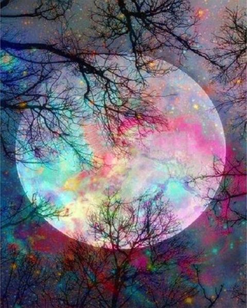 5d diamond painting by number kit, bright moon full drill embroidery cross stitch picture supplies arts craft wall sticker decor
5d diamond painting by number kit, bright moon full drill embroidery cross stitch picture supplies arts craft wall sticker decor
