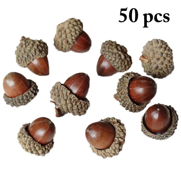 50pcs creative natural acorn diy handmade material natural dried flowers dried pine cones pgraphy scene layout props
50pcs creative natural acorn diy handmade material natural dried flowers dried pine cones pgraphy scene layout props