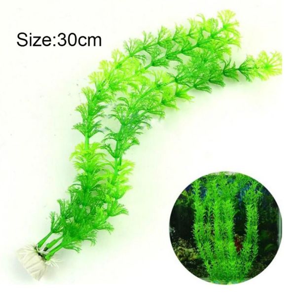 ornament artificial plant grass for fish tank aquarium decoration green fish tank submersible flower grass decor suplies
ornament artificial plant grass for fish tank aquarium decoration green fish tank submersible flower grass decor suplies