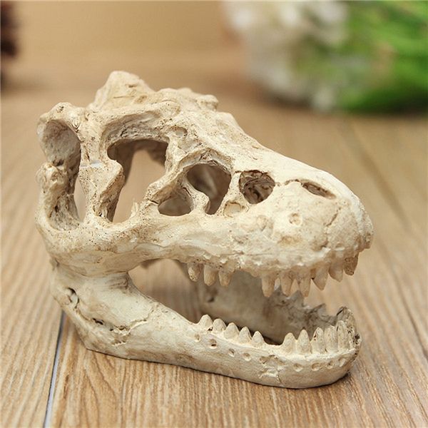 1 pcs dragon resin aquarium/terrarium decoration crocodile skull for fish tank resin ornament decorate your aquarium other aquarium fish
1 pcs dragon resin aquarium/terrarium decoration crocodile skull for fish tank resin ornament decorate your aquarium other aquarium fish