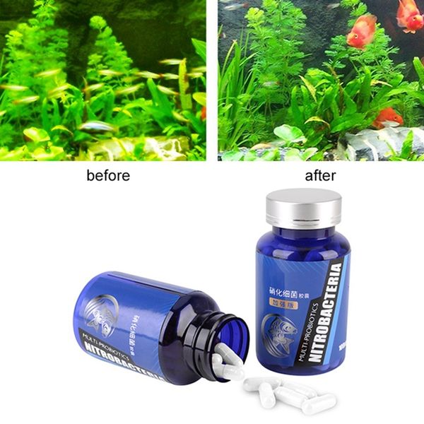 50pcs nitrifying bacteria for fresh water and marine water fish tank aquarium water purifier system other aquarium fish
50pcs nitrifying bacteria for fresh water and marine water fish tank aquarium water purifier system other aquarium fish