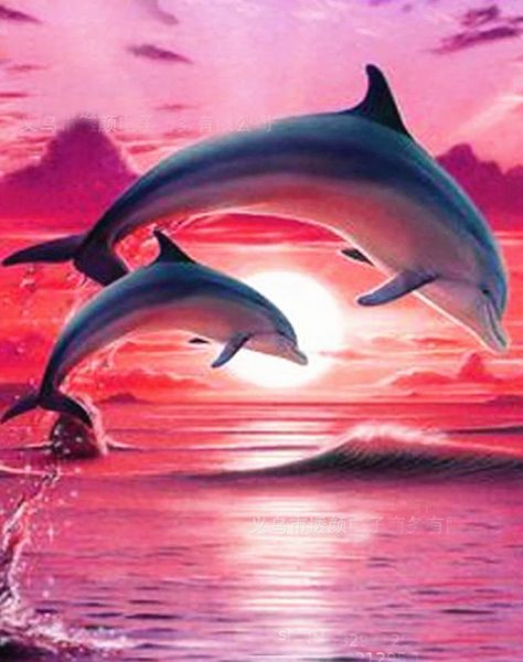 5d round diamond embroidery dolphin animal patterns diamond mosaic sale diy diamond painting cross stitch full rhinestone
5d round diamond embroidery dolphin animal patterns diamond mosaic sale diy diamond painting cross stitch full rhinestone