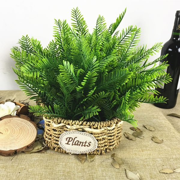 plastic persian fern grass flower arrangement fake plants artificial flowers home wedding decoration artificial plants
plastic persian fern grass flower arrangement fake plants artificial flowers home wedding decoration artificial plants
