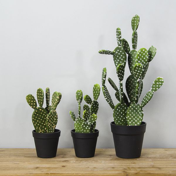 artificial succulents cactus plants bonsai desert artificial plant for table garden plants home decoration party decoration
artificial succulents cactus plants bonsai desert artificial plant for table garden plants home decoration party decoration