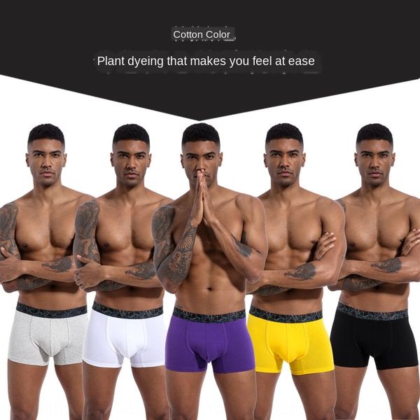 3dvg1 men's cotton multicolor optional breathable skin-friendly style men's underwear cotton boxer pants multicolor optional under, Black;white
3dvg1 men's cotton multicolor optional breathable skin-friendly style men's underwear cotton boxer pants multicolor optional under, Black;white