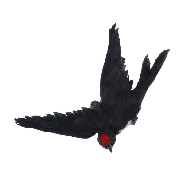 artificial feather bird cute vivid swallow garden home decor props ornament
artificial feather bird cute vivid swallow garden home decor props ornament