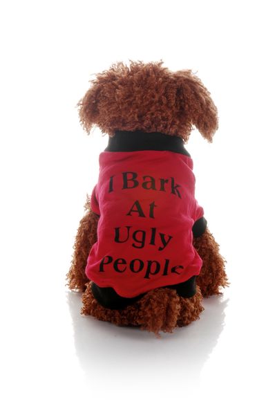 cat dog sweater pullover winter dog clothes for small dogs chihuahua yorkies puppy jacket pet clothing sweatshirt #t5p
cat dog sweater pullover winter dog clothes for small dogs chihuahua yorkies puppy jacket pet clothing sweatshirt #t5p