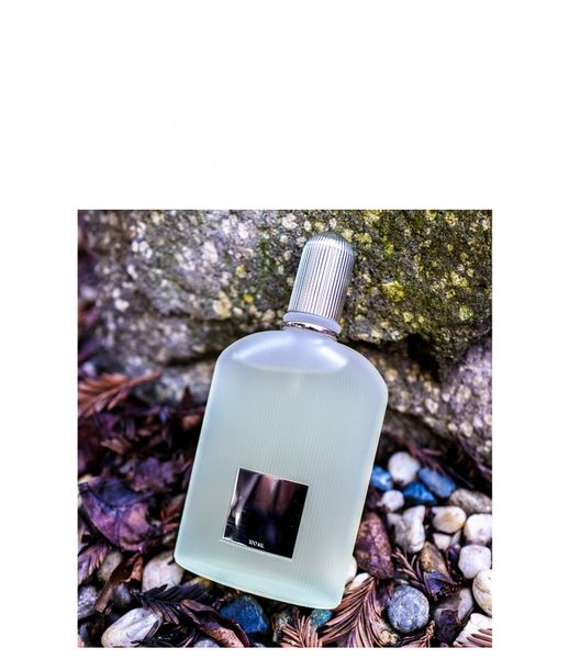 brand perfume for man higher version tomf grey vetiver perfume fragrance eau de parfum for men 100ml ing
brand perfume for man higher version tomf grey vetiver perfume fragrance eau de parfum for men 100ml ing